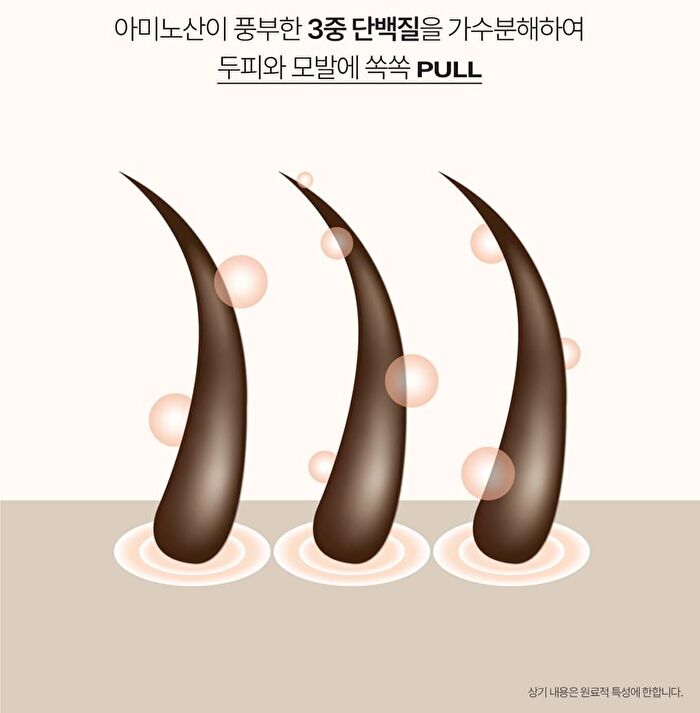 Heveblue Salmon Pullkeratin Centella Hair Shampoo - 500ml