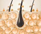 Heveblue Salmon Pullkeratin Centella Hair Shampoo - 500ml