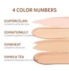 Inspiration Painter High-efficiency Concealer - 4 Colors - #01 Porcelain