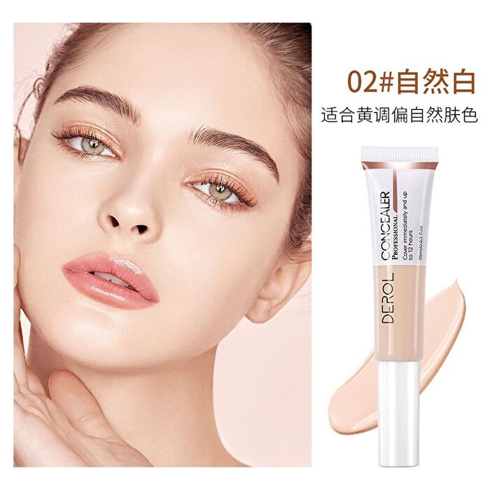 Inspiration Painter High-efficiency Concealer - 4 Colors - #01 Porcelain