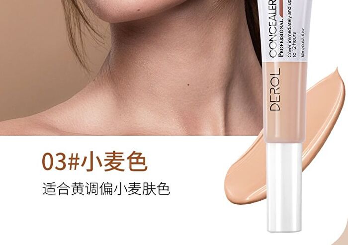 Inspiration Painter High-efficiency Concealer - 4 Colors - #01 Porcelain