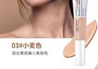 Inspiration Painter High-efficiency Concealer - 4 Colors - #01 Porcelain