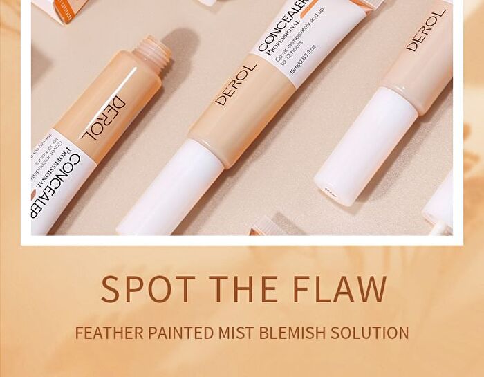 Inspiration Painter High-efficiency Concealer - 4 Colors - #01 Porcelain