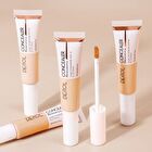 Inspiration Painter High-efficiency Concealer - 4 Colors - #01 Porcelain