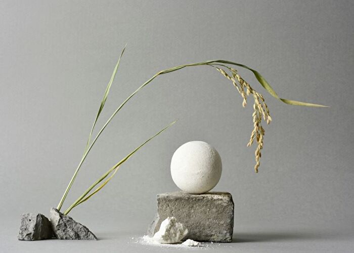 Rice Bran Bath Bomb - 120g