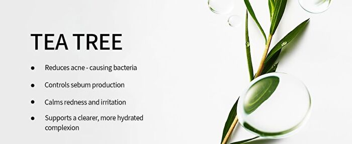 Bring Green Tea Tree Cica Trial Kit - 3 pcs