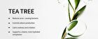 Bring Green Tea Tree Cica Trial Kit - 3 pcs