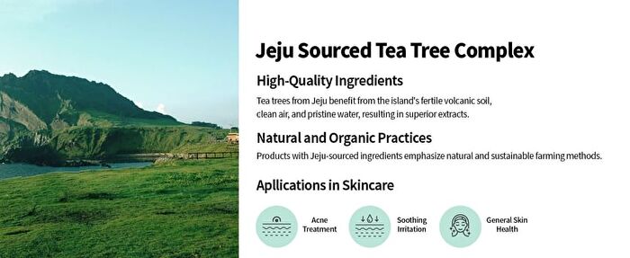 Bring Green Tea Tree Cica Trial Kit - 3 pcs