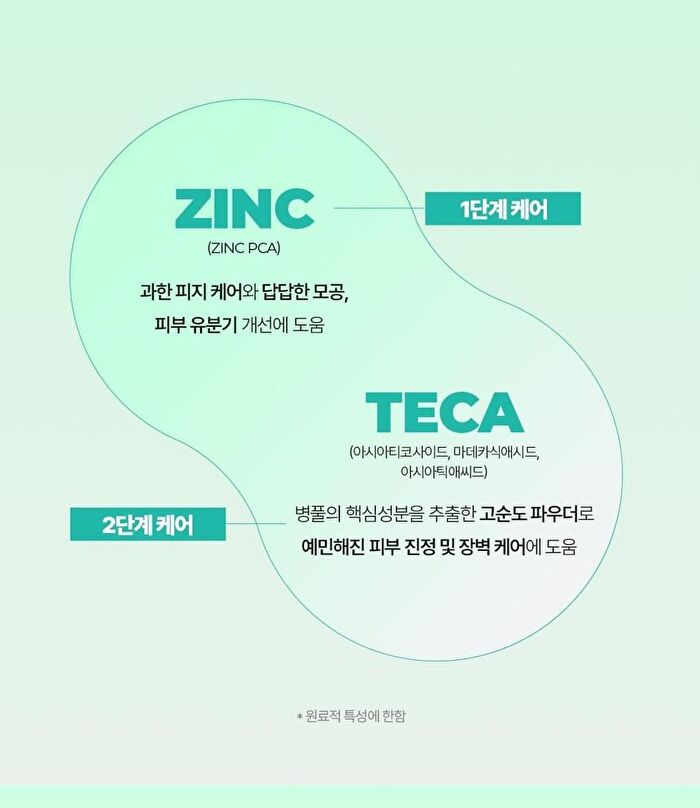 Bring Green Tea Tree Cica Set - 3 pcs