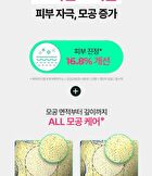 Bring Green Tea Tree Cica Set - 3 pcs