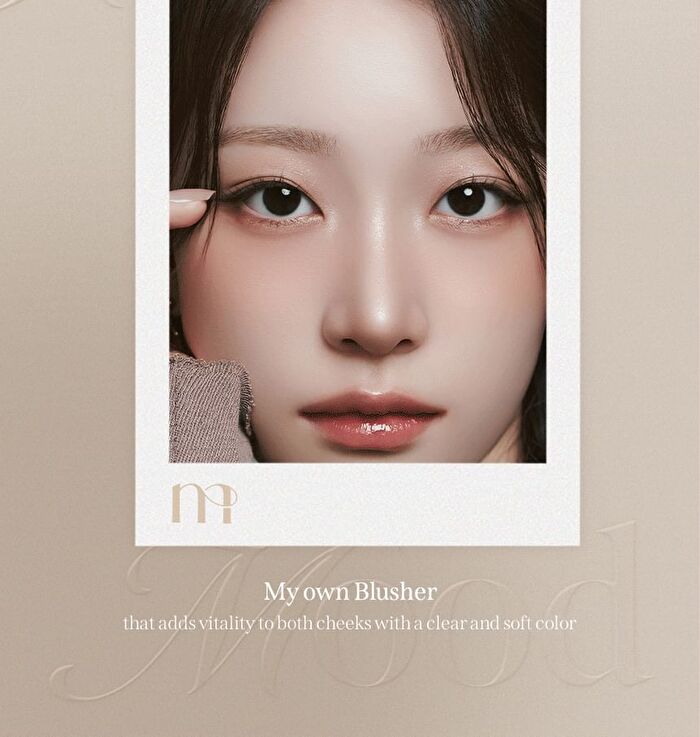 Tone On Blusher - 2 Colors - #01 Toasted Nuts
