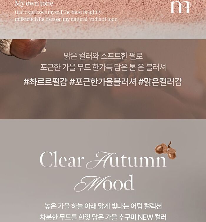 Tone On Blusher - 2 Colors - #01 Toasted Nuts