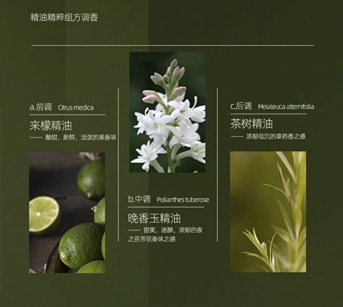 Shancaoji Tea Tree Oil-Control Clear Cleanser - 120ml