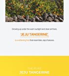 The Pure Jeju Tangerine Vita C Cleansing Foam - 150ml