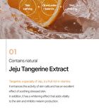 The Pure Jeju Tangerine Vita C Cleansing Foam - 150ml