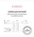 No Glue Lash - 3 Types - Rose