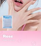 No Glue Lash - 3 Types - Rose