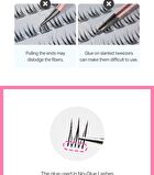 No Glue Lash - 3 Types - Sherbet