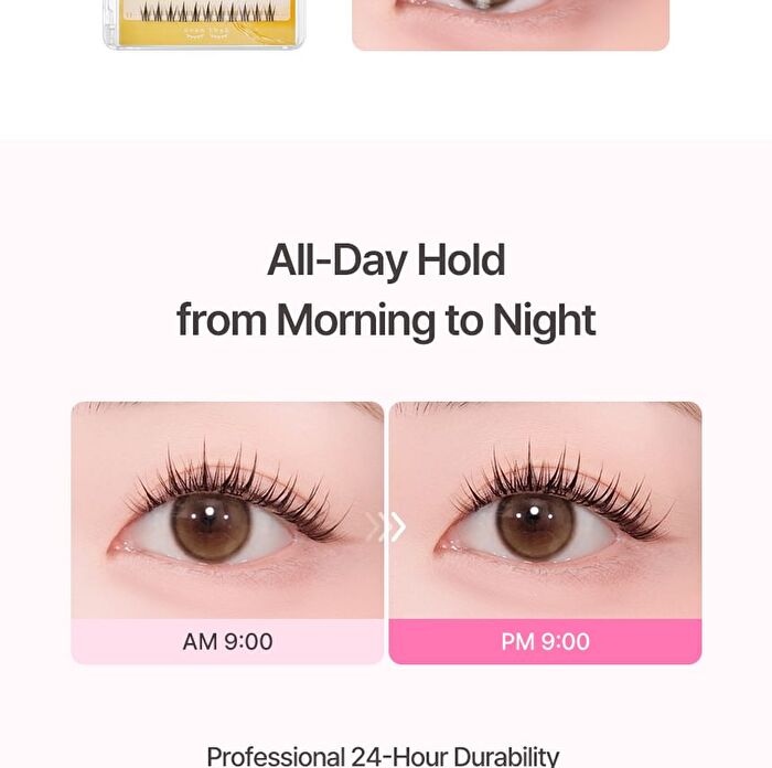 No Glue Lash - 3 Types - Sherbet