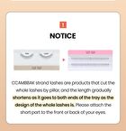 Original Bold Eyelash Pair - 3 Types - 11mm