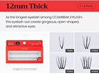Original Eyelash 2 Points - 13 Types - 10mm Thick