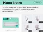 Original Eyelash 1 Point - 13 Types - 10mm Brown