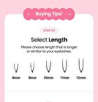 Original Eyelash 2 Points - 13 Types - 12mm Thick