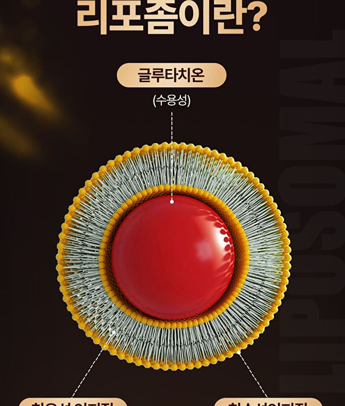 Liposome Glutathione Ever Film - 367mg x 30 films