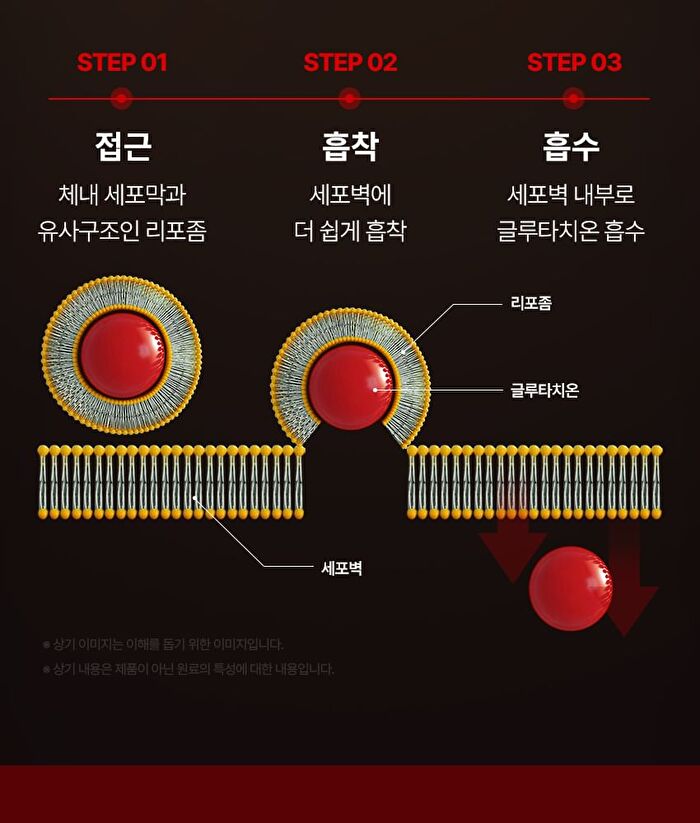 Liposome Glutathione Ever Film - 367mg x 30 films