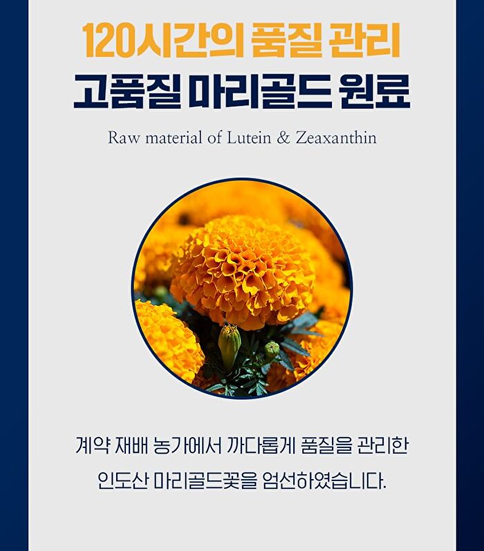 Lutein Zeaxanthin Astaxanthin Plus - 500mg x 30 capsules