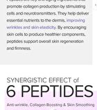6 Peptide Complex Serum Jumbo - 80ml