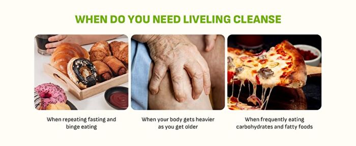 LIVELING Cleanse Pineapple Cider Vinegar - 2 Types - Shine Muscat Flavor