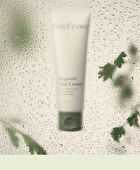 I\'m from Mugwort Fluid Cream - 2026 Version - 50ml