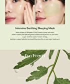 I\'m from Mugwort Fluid Cream - 2026 Version - 50ml