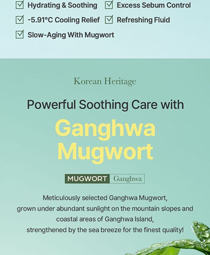 I\'m from Mugwort Fluid Cream - 2026 Version - 50ml
