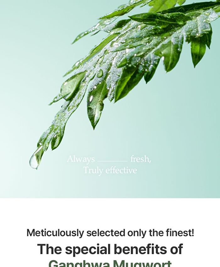 I\'m from Mugwort Fluid Cream - 2026 Version - 50ml