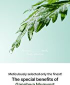 I\'m from Mugwort Fluid Cream - 2026 Version - 50ml