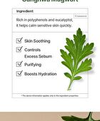 I\'m from Mugwort Fluid Cream - 2026 Version - 50ml