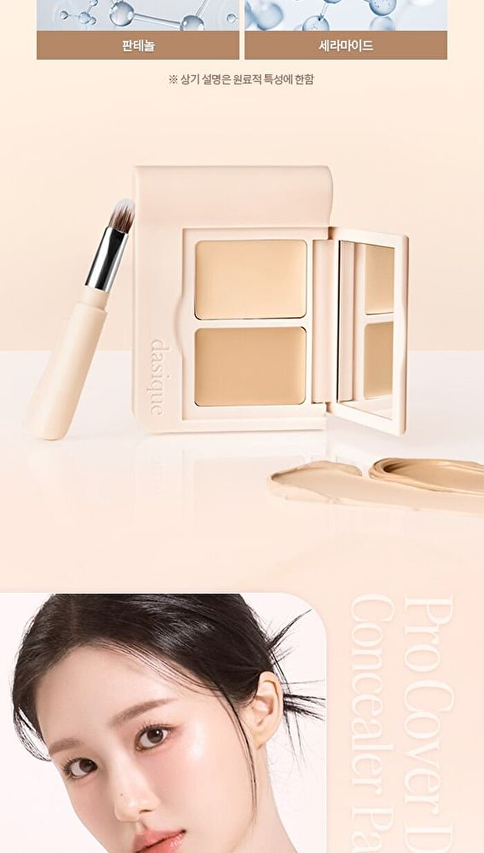 Pro Cover Dual Concealer Palette - 4 Types - #17 Fair