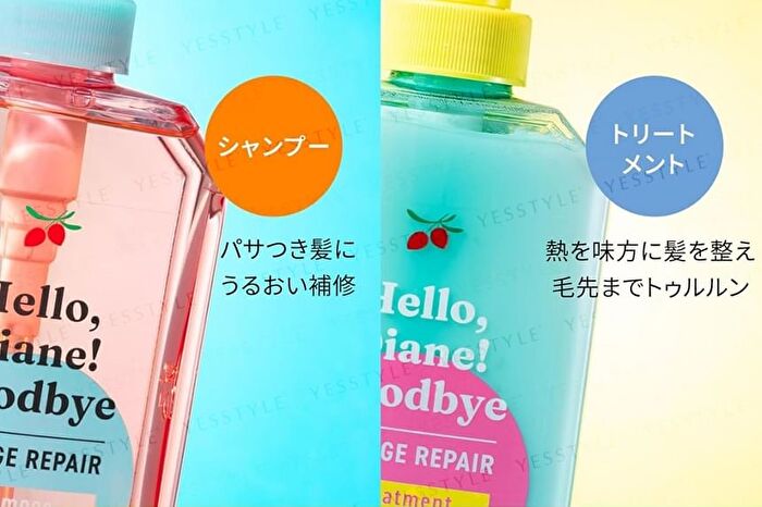 Hello, Diane! Goodbye Damage Repairing Shampoo - 400ml