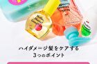 Hello, Diane! Goodbye Damage Repairing Shampoo - 400ml