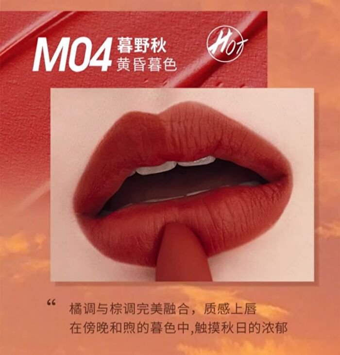 Lansur Ultra Matte Lipstick - 6 Colors - M06# Endless Red Brown - 3.6g