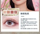 Lansur Four Seasons Eye & Cheek Comprehensive Palette - 30g