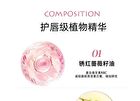 Mirror Lipstick Pen - 6 Colors - 01# Oolong Brown - 1.8g