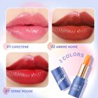 Tinted Lip Balm - 3 Colors - 02# Ambre Noire - 3.5g