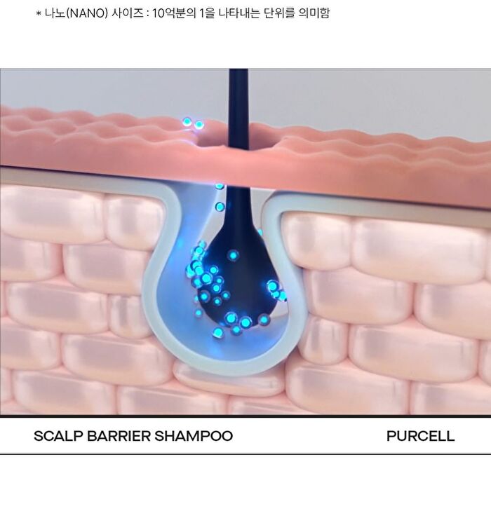 Purcell Pixcell Foam Scalp Barrier Shampoo - 280ml