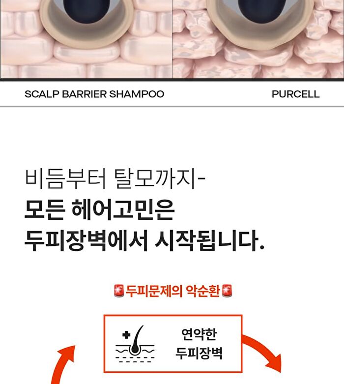 Purcell Pixcell Foam Scalp Barrier Shampoo - 280ml