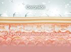Marshique Ceramide Lip Balm - 3 Colors - #01 Clear