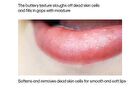 Marshique Ceramide Lip Balm - 3 Colors - #01 Clear