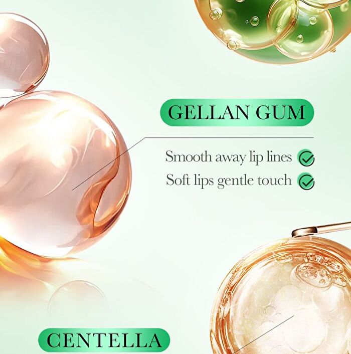 Fayankou Aloe Vera Moisturizing Soft Lip Mask - #Lip Mask